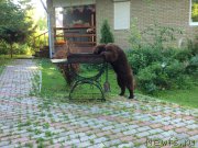 Превью фото № 189558