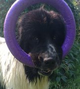 Превью фото № 189611