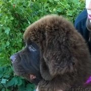 Превью фото № 189658