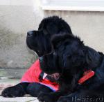 Превью фото № 18970