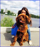 Превью фото № 189704