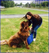 Превью фото № 189714