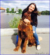 Превью фото № 189718