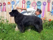 Превью фото № 189723