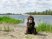 Превью фото № 189754