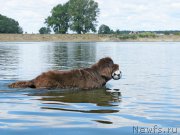 Превью фото № 189756
