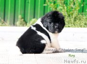 Превью фото № 189778