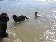 Превью фото № 189794