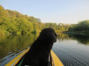 Превью фото № 189804