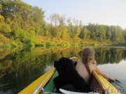 Превью фото № 189805