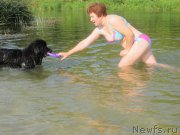 Превью фото № 189806