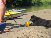 Превью фото № 189809