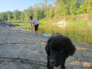 Превью фото № 189814