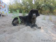 Превью фото № 189815