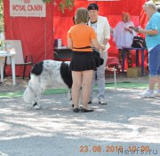 Превью фото № 189830