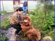 Превью фото № 189846