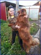 Превью фото № 189849