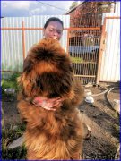 Превью фото № 189852