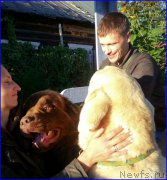 Превью фото № 189855