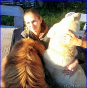 Превью фото № 189858