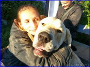 Превью фото № 189859