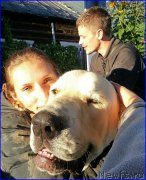 Превью фото № 189862