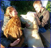 Превью фото № 189863