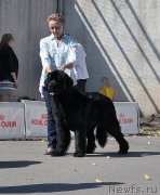 Превью фото № 189866