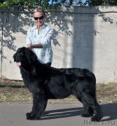 Превью фото № 189869