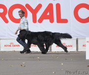 Превью фото № 189870