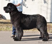 Превью фото № 189871