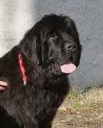 Превью фото № 189872