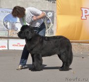 Превью фото № 189873