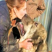 Превью фото № 189874