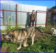 Превью фото № 189881