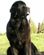 Превью фото № 189909