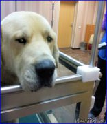 Превью фото № 189915