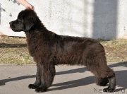 Превью фото № 189959