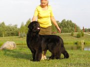 Превью фото № 189993