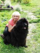 Превью фото № 190064