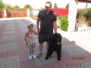 Превью фото № 190069