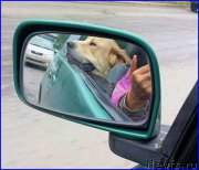 Превью фото № 190090