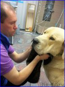 Превью фото № 190120