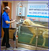 Превью фото № 190122