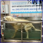 Превью фото № 190123