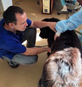 Превью фото № 190125