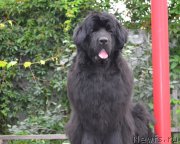 Превью фото № 190202