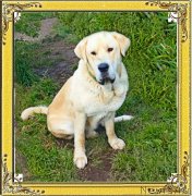 Превью фото № 190206