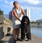 Превью фото № 190237