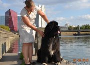 Превью фото № 190239